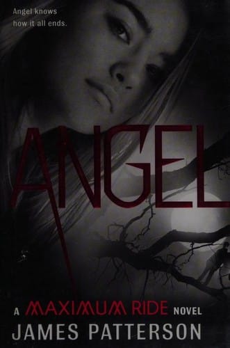 Angel: a Maximum Ride novel