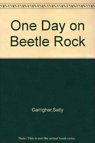 One Day on Beetle Rock