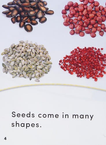 Seeds