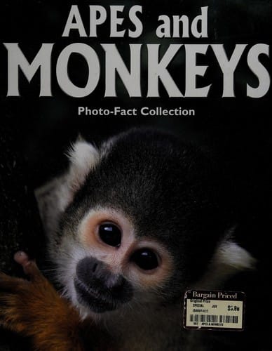 Apes and monkeys