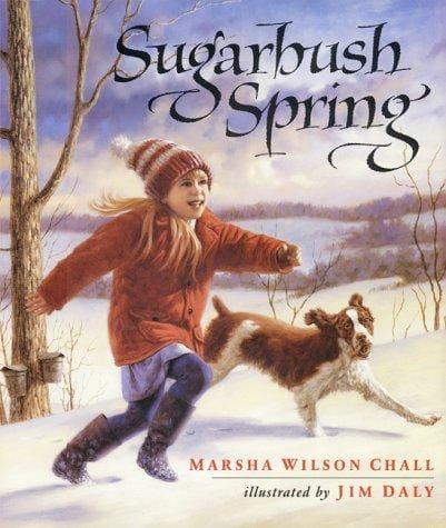 Sugarbush spring