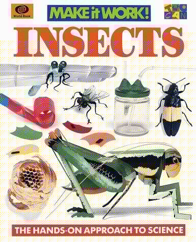Insects