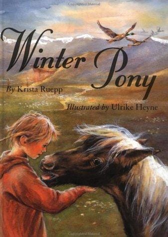 Winter pony