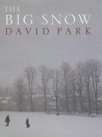 The big snow
