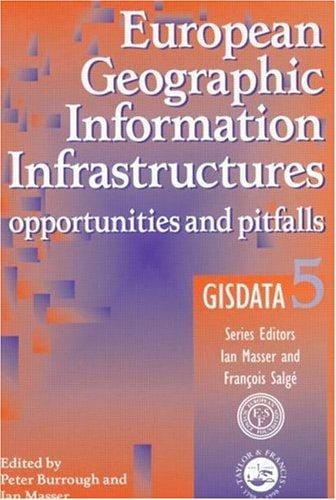 European geographic information infrastructures: opportunities and pitfalls