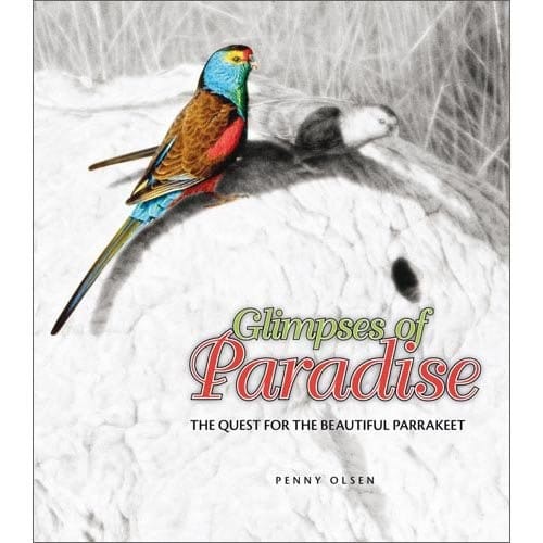 Glimpses of paradise: the quest for the beautiful parrakeet