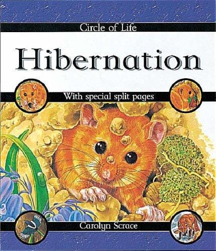 Circle of Life: Hibernation (Circle of Life)
