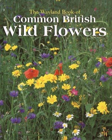 The Wayland Book of Common British Wild Flowers (Wayland Book of)