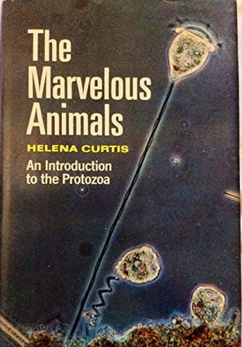 The Marvelous Animals: An Introduction to the Protozoa