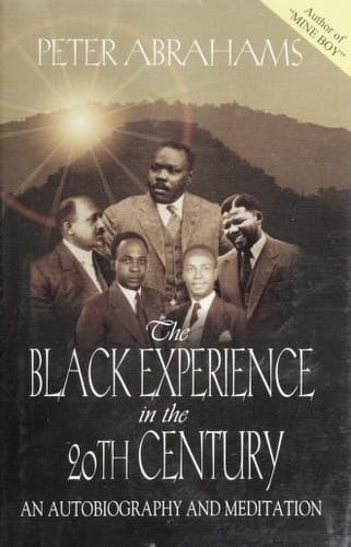 The Black experience in the 20th century: an autobiography and meditation