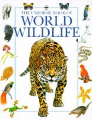 World Wildlife (combined volume): Polar Wildlife / Rainforest Wildlife / Grassland Wildlife / Mountain Wildlife
