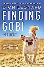 Finding Gobi: a little dog with a very big heart