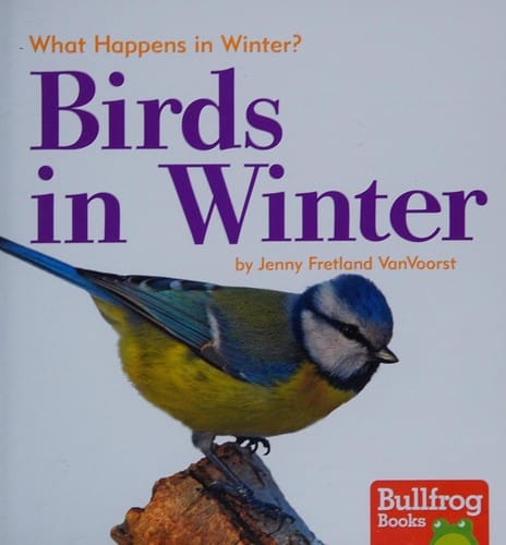 Birds in Winter (Bullfrog Books: What Happens in Winter?)