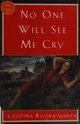 No one will see me cry: a novel