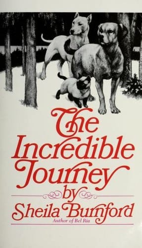 The Incredible Journey