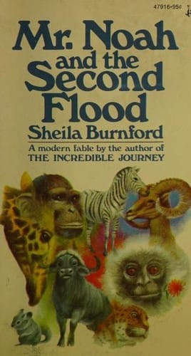 Mr. Noah and the second flood