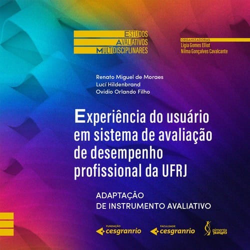 Experiência do usuário em sistema de avaliação de desempenho profissional da UFRJ: adaptação de instrumento avaliativo