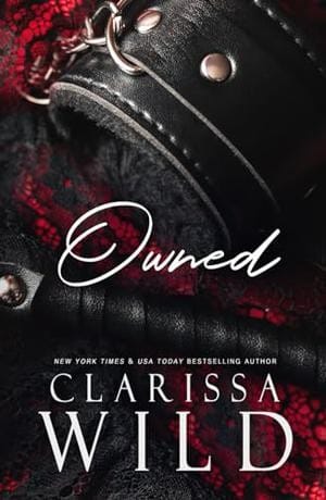 Owned: A Dark Mafia Romance