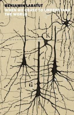 When we cease to understand the world