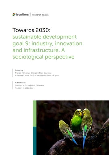 Towards 2030: Sustainable Development Goal 9: Industry, Innovation and Infrastructure. A Sociological Perspective