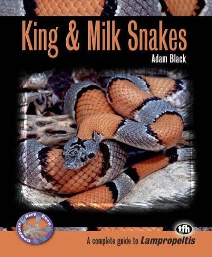 King & Milk Snakes (Complete Herp Care)