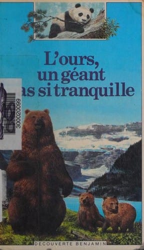 L'ours, un géant pas si tranquille