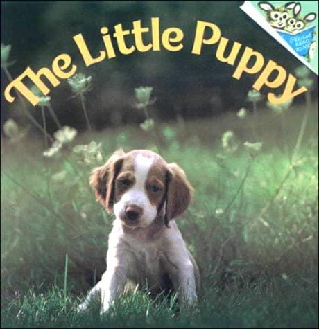 The Little Puppy