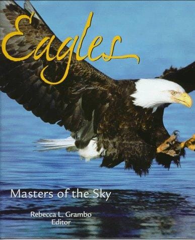 Eagles: Masters of the Sky