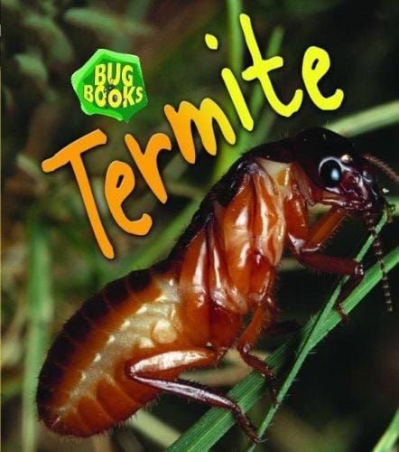 Termite (Bug Books)