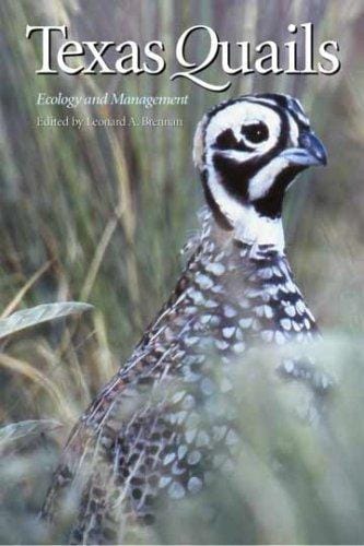 Texas Quails: Ecology and Management (Perspectives on South Texas, Sponsored by Texas A&m Universi)