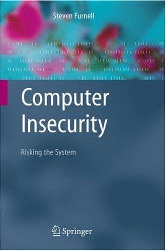 Computer insecurity: risking the system