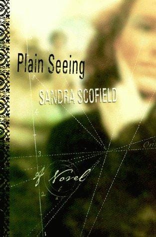 Plain seeing: a novel
