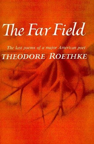 The Far Field