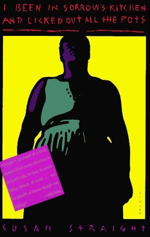 I been in sorrow's kitchen and licked out all the pots: a novel