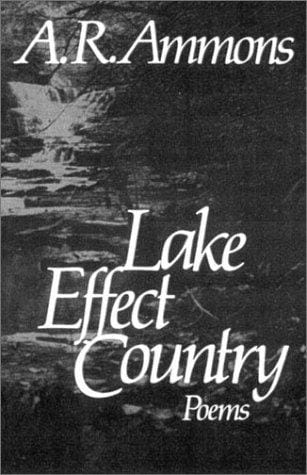 Lake effect country: poems