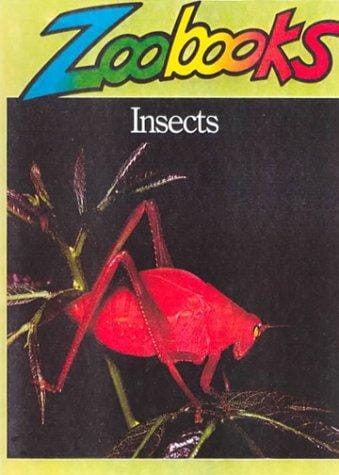 Insects