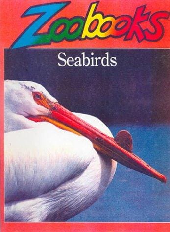Sea Birds