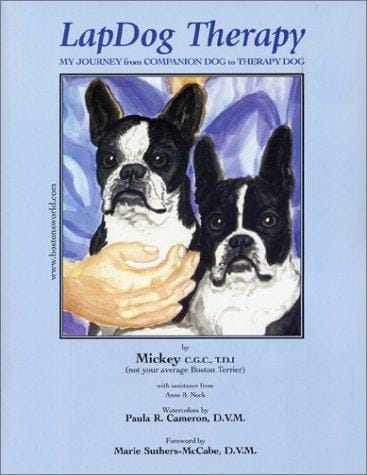 Lapdog Therapy: My Journey from Companion Dog to Therapy Dog