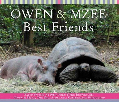 Best Friends (Owen And Mzee)