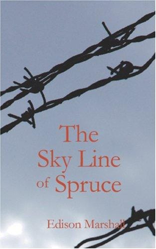 The Sky Line of Spruce