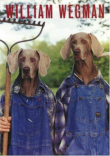 William Wegman: Postcard Box