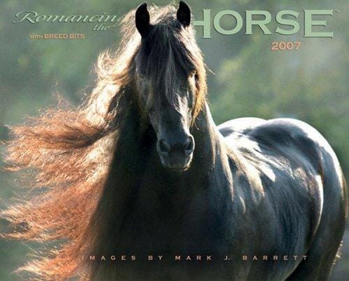 Romancing the Horse 2007 Calendar