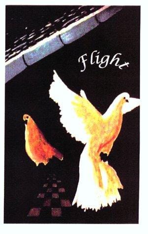 Flight