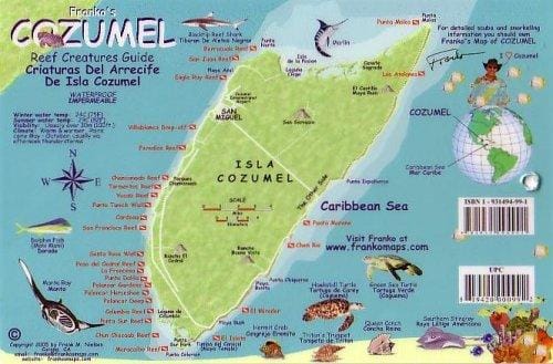 Franko's Cozumel Reef Creatures Guide
