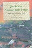 The enchanted Amazon rainforest