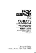 From surfaces to objects: computer vision and three dimensional scene analysis