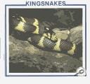 Kingsnakes