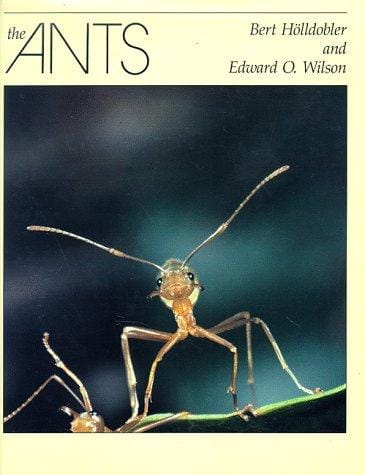 ants