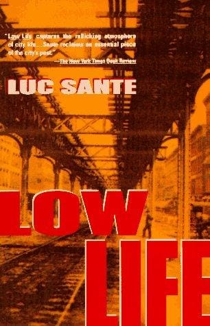 Low Life: Lures and Snares of Old New York