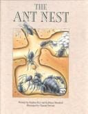 The ant nest
